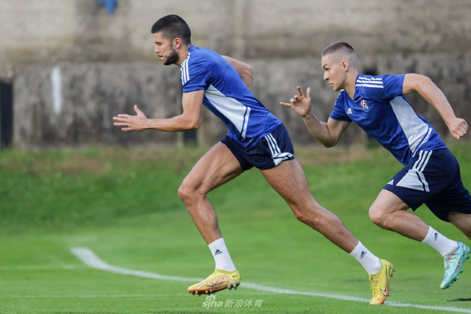 它将扶手 它将扶手